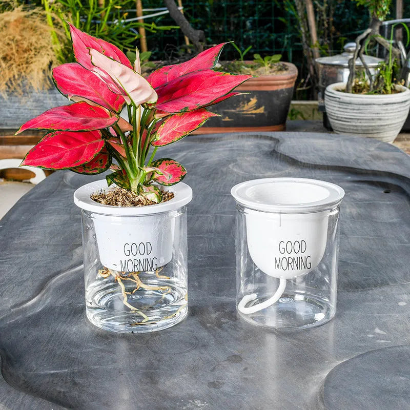 Double Tier Hydroponic Epipremnum Aureum Self-watering Flowerpot Home Decor Double Tier Visual Water Level Flowerpot - Bellarte Enchanté Double Tier Hydroponic Epipremnum Aureum Self-watering Flowerpot Home Decor Double Tier Visual Water Level Flowerpot